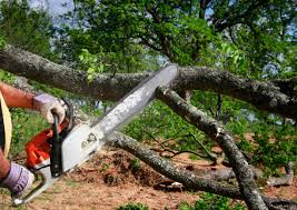 Best Lawn Maintenance Plans  in New Square, NY