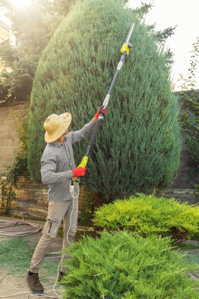 New Square, NY Tree Removal Company
